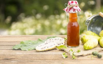 Cómo hacer jugo de noni